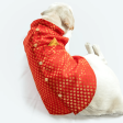 Pawgypets Sherwani for Dogs and Cats (Red) Hot on Sale