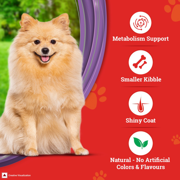 Purina SuperCoat Chicken Adult Small Breed Dog Dry Food Discount