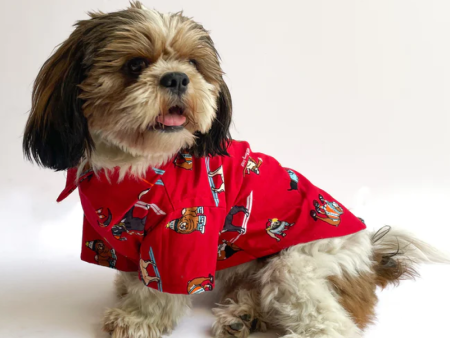 Pawgypets Warm Winter Pets Shirt for Dogs and Cats (Red) Online