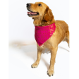 Pawgypets Occasion Wear Bandana for Dogs and Cats (Pink) Sale