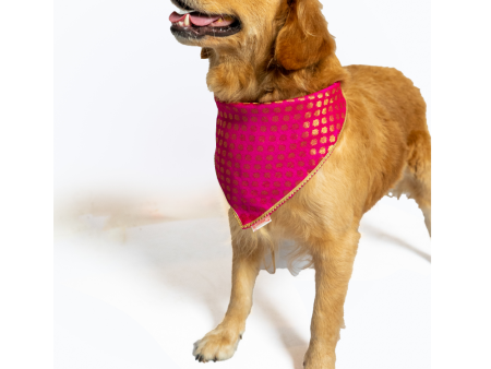 Pawgypets Occasion Wear Bandana for Dogs and Cats (Pink) Sale