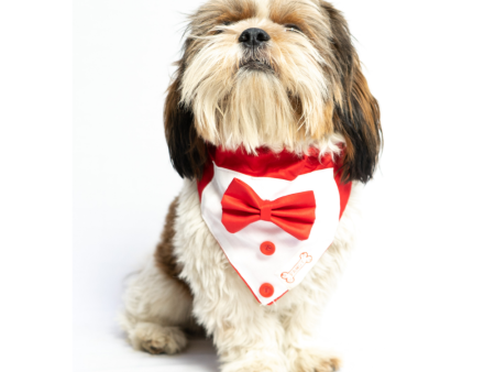 Pawgypets Tuxedo Bandana for Dogs and Cats (Red) Online now