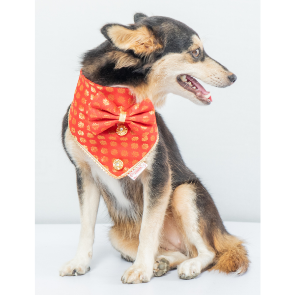 Pawgypets Occasion Wear Bow Bandana for Dogs and Cats (Red) Online Sale