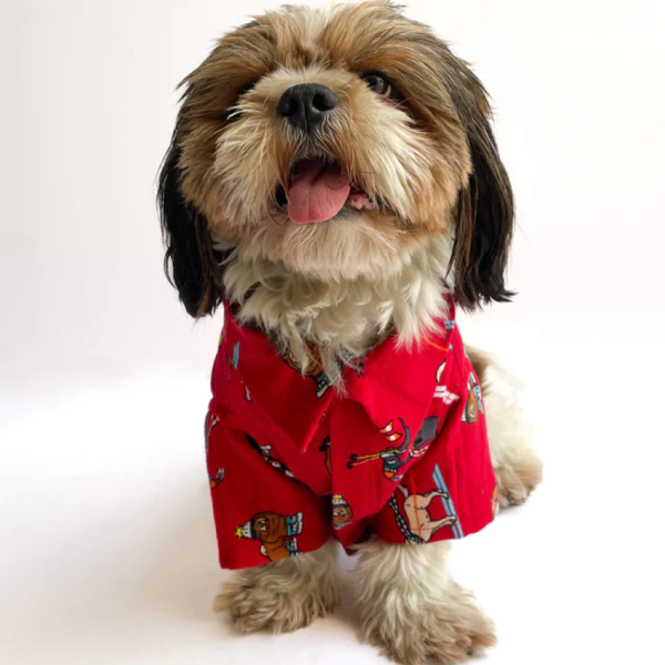 Pawgypets Warm Winter Pets Shirt for Dogs and Cats (Red) Online