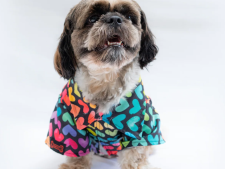 Pawgypets Multi Heart Casual Shirt for Dogs and Cats Online now