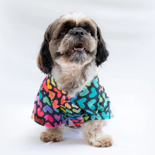 Pawgypets Multi Heart Casual Shirt for Dogs and Cats Online now