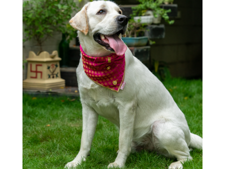 Pawgypets Occasion Wear Bow Bandana for Dogs and Cats (Pink) For Cheap