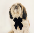 Pawgypets Pigtail Bowtie for Dogs and Cats For Discount