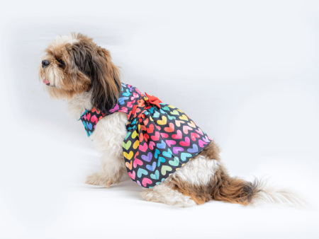 Pawgypets Multi Heart Casual Dress for Dogs and Cats Online Sale