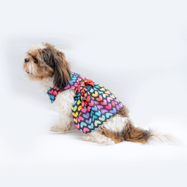 Pawgypets Multi Heart Casual Dress for Dogs and Cats Online Sale