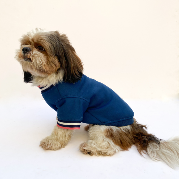 Pawgypets Candy Blue Sweatshirt for Dogs and Cats For Discount