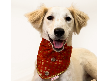 Pawgypets Occasion Wear Bow Bandana for Dogs and Cats (Red) Online Sale