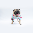 Pawgypets Watermelon Casual Shirt for Dogs and Cats Online Sale