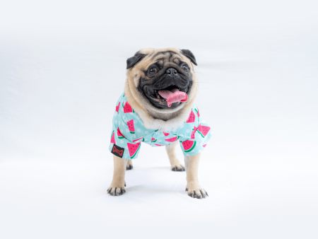 Pawgypets Watermelon Casual Shirt for Dogs and Cats Online Sale