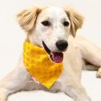 Pawgypets Occasion Wear Bandana for Dogs and Cats (Yellow) Online Hot Sale