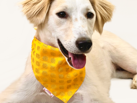 Pawgypets Occasion Wear Bandana for Dogs and Cats (Yellow) Online Hot Sale