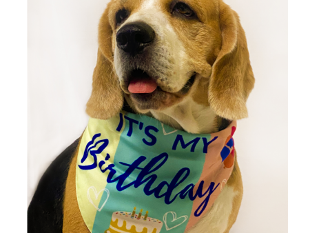 Pawgypets It’s My Birthday Bandana for Dogs and Cats Online