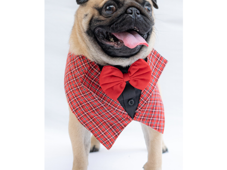 Pawgypets Waistcoat Bandana for Dogs and Cats (Red) Supply