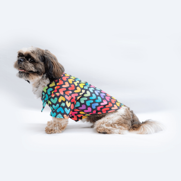 Pawgypets Multi Heart Casual Shirt for Dogs and Cats Online now