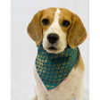 Pawgypets Occasion Wear Bandana for Dogs and Cats (Teal Blue) Fashion