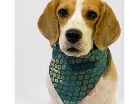 Pawgypets Occasion Wear Bandana for Dogs and Cats (Teal Blue) Fashion