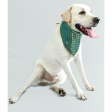 Pawgypets Occasion Wear Bandana for Dogs and Cats (Teal Blue) Fashion