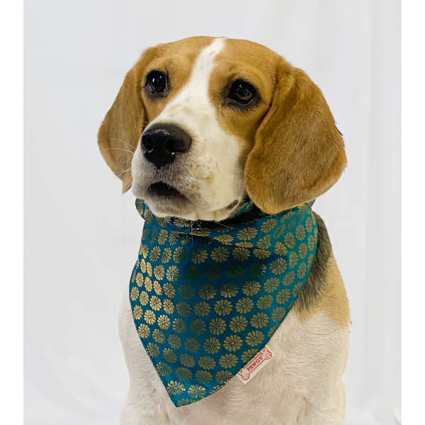 Pawgypets Occasion Wear Bandana for Dogs and Cats (Teal Blue) Fashion