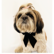 Pawgypets Pigtail Bowtie for Dogs and Cats For Discount