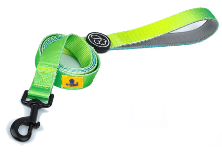 A Plus A Pets Skin Friendly Gradient Design Leash for Dogs (5ft, Green) Fashion