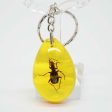 Wholesale 12PCS Insects Amber Specimens Resin Keychains Hot on Sale