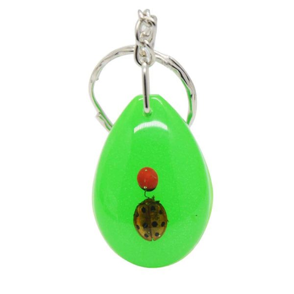 Wholesale 12PCS Insects Amber Specimens Resin Keychains Hot on Sale