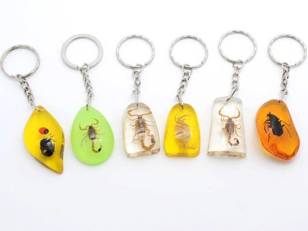 Wholesale 12PCS Insects Amber Specimens Resin Keychains Hot on Sale