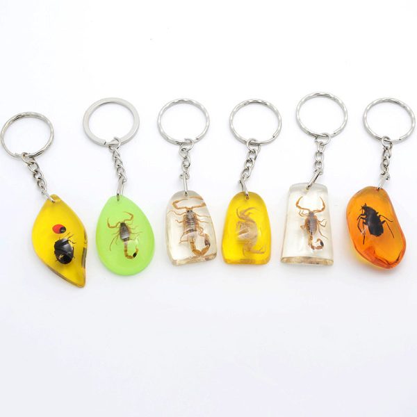 Wholesale 12PCS Insects Amber Specimens Resin Keychains Hot on Sale