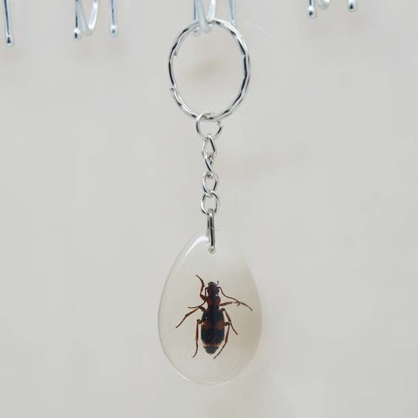 Wholesale 12PCS Insects Amber Specimens Resin Keychains Hot on Sale