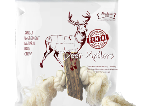 Absolute Bites Deer Antler with Rope Dental Dog Chew Online Sale