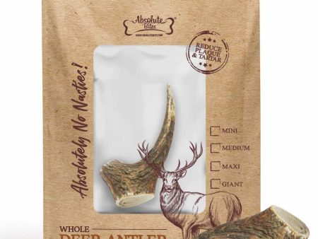 33% OFF: Absolute Bites Whole Deer Antler Dental Dog Chew Online Hot Sale